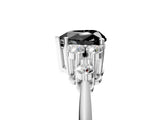 White gold Fancy Black Heart Cut Cut Diamond Cluster Ring with Solitaire Band and Four-Prong Setting_29