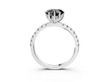 White gold Fancy Black Heart Cut Diamond Pave Band Solitaire Ring with Round  and Prong Setting_75