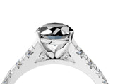 White gold Fancy Black Oval Cut Diamond Cathedral Solitaire Ring with Round  Pavé Band_50