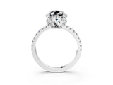 White gold Fancy Black Oval Cut Diamond Halo Pave Band with Four-Prong Setting_6