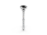 White gold Fancy Black Round Cut Brilliant Pavé Band Solitaire with Four-Prong Setting_2