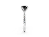 White gold Fancy Black Round Cut Diamond Brilliant Solitaire Ring with Pavé Band and Four-Prong Setting_38