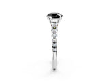 White gold Fancy Black Round Cut Diamond Cathedral Solitaire Ring with Round  Pavé Band_38