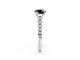 White gold Fancy Black Round Cut Diamond Cathedral Solitaire Ring with Round  Pavé Band_48