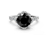 White gold Fancy Black Round Cut Diamond Halo Pave Band with Four-Prong Setting_3