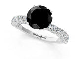 White gold Fancy Black Round Cut Diamond Pavé Band Solitaire Ring with Prong Setting_25