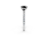 White gold Fancy Black Round Cut Diamond Pavé Band Solitaire Ring with Prong Setting_26