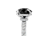 White gold Fancy Black Round Cut Diamond Pavé Engagement Ring with Round  Accents and Prong Setting_29