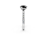White gold Fancy Black Round Cut Diamond Solitaire Pavé Band with Four-Prong Setting_2