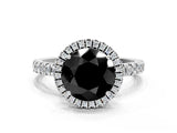 White gold Fancy Black Round Cut Halo Diamond Pave Band with Prong Setting
