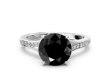 White gold Fancy Black Round Cut Solitaire Pavé Band with Four-Prong Setting