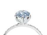 White gold Fancy Blue Marquise  Diamond Pavé Band with Six-Prong Setting_31