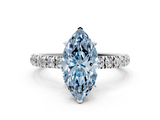 White gold Fancy Blue Marquise  Solitaire Diamond Pavé Band with Four-Prong Setting_28