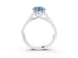 White gold Fancy Blue Round  Brilliant Channel-Set Solitaire Ring with Four-Prong Setting_23