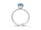 White gold Fancy Blue Round  Cut Diamond Pavé Band with Four-Prong Setting_15