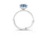 White gold Fancy Blue Round  Diamond Pavé Band with Six-Prong Setting_30