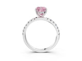 White gold Fancy Pink Cushion Cut Diamond Pave Band Solitaire Ring with Round  and Prong Setting_133