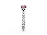 White gold Fancy Pink Cushion  Diamond Pavé Band Solitaire with Four-Prong Setting_243