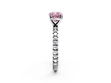 White gold Fancy Pink Cushion  Diamond Pavé Band Solitaire with Four-Prong Setting_261