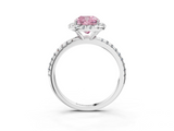 White gold Fancy Pink Cushion  Halo Round Diamond Pavé Band Four-Prong Ring_6