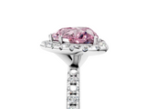 White gold Fancy Pink Heart  Halo Round Diamond Pavé Band Four-Prong Ring_8