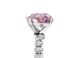 White gold Fancy Pink Heart  Solitaire Diamond Pavé Band with Four-Prong Setting_47