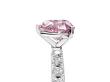 White gold Fancy Pink Heart  Solitaire Pavé Band with Four-Prong Setting_160