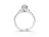 White gold Fancy Pink Marquise Cut Diamond Cathedral Solitaire Ring with Round  Pavé Band_181