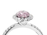 White gold Fancy Pink Marquise  Cut Diamond Floral Halo Engagement Ring with Pavé Band and Prong Setting_93