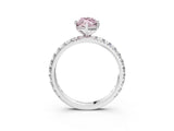 White gold Fancy Pink Marquise  Cut Diamond Pavé Band with Four-Prong Setting_20