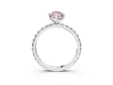White gold Fancy Pink Marquise  Cut Diamond Pavé Band with Four-Prong Setting_39