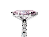 White gold Fancy Pink Marquise  Diamond Pavé Band Solitaire with Four-Prong Setting_201