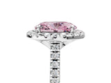 White gold Fancy Pink Oval Cut Diamond Cushion Halo Ring with Pavé Band_17
