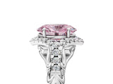 White gold Fancy Pink Oval Cut Diamond Solitaire Ring with Hidden Halo and Pavé Band_44