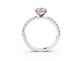 White gold Fancy Pink Oval  Solitaire Pavé Band with Four-Prong Setting_147