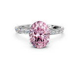 White gold Fancy Pink Oval  Solitaire Pavé Diamond Engagement Ring with Four-Prong Setting_76
