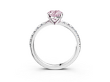 White gold Fancy Pink Oval  Solitaire Pave Diamond Engagement Ring with Four-Prong Setting_365