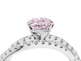 White gold Fancy Pink Oval  Solitaire Twist Band with Pavé Setting and Four-Prong Setting_119