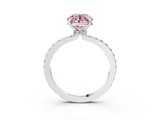 White gold Fancy Pink Round  Brilliant Pavé Band Solitaire with Four-Prong Setting_20