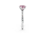 White gold Fancy Pink Round Cut Diamond Brilliant Solitaire Ring with Pavé Band and Four-Prong Setting_14
