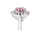 White gold Fancy Pink Round  Cut Diamond Halo Ring with Solitaire Band and Prong Setting_39