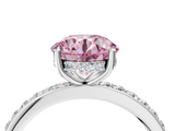White gold Fancy Pink Round  Cut Diamond Pavé Band Ring with Four-Prong Setting_4