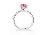 White gold Fancy Pink Round  Cut Diamond Pavé Band Solitaire with Four-Prong Setting_6
