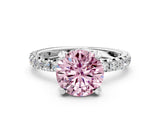 White gold Fancy Pink Round  Cut Diamond Pavé Band with Four-Prong Setting_13