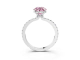 White gold Fancy Pink Round Cut Diamond Pavé Engagement Ring with Round  Accents and Prong Setting_44