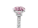 White gold Fancy Pink Round Cut Diamond Pavé Engagement Ring with Round  Accents and Prong Setting_46