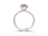 White gold Fancy Pink Round Cut Diamond Pavé Solitaire Ring with Round Band and Prong Setting_16
