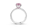 White gold Fancy Pink Round Cut Diamond Pavé Solitaire Ring with Round Band and Prong Setting_40