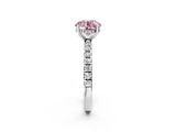 White gold Fancy Pink Round Cut Diamond Pave Band Solitaire Ring with Round  and Prong Setting_90