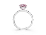 White gold Fancy Pink Round Cut Diamond Pave Band Solitaire Ring with Round  and Prong Setting_91